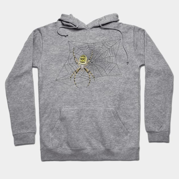 spider on web Hoodie by Viktoria1703